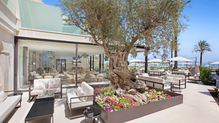 VIVA Golf Adults Only